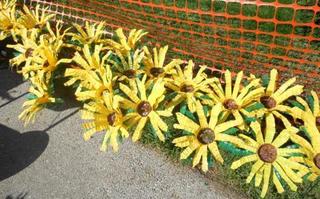 Water bottle sunflowers